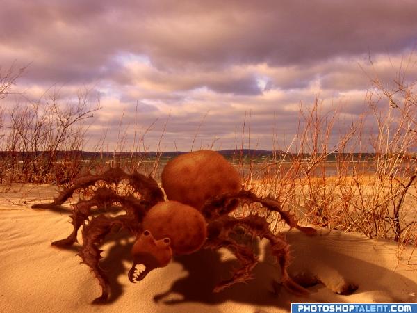 Creation of Sand(SIX LEG)Spider: Final Result